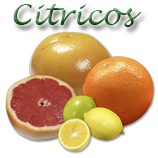 citricos